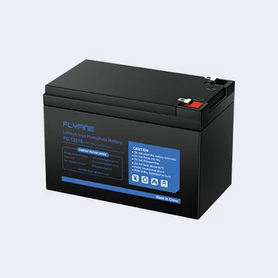 Lithium Iron Phosphate Battery