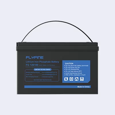 Lithium Iron Phosphate Battery_01